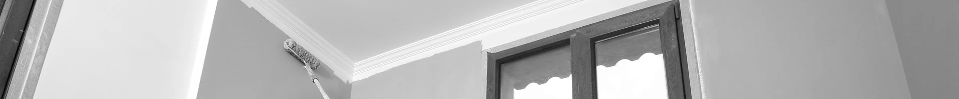 Professional painter painting home interior